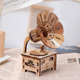 Wooden DIY Phonograph Music Box - Babybyrds