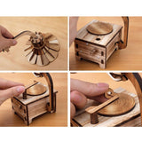 Wooden DIY Phonograph Music Box - Babybyrds